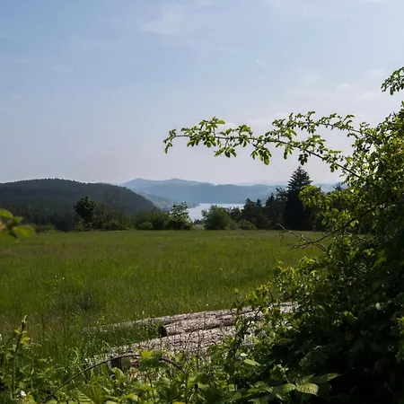 Wellness - Vodni Nadrz Slapy - 40km Od Prahy